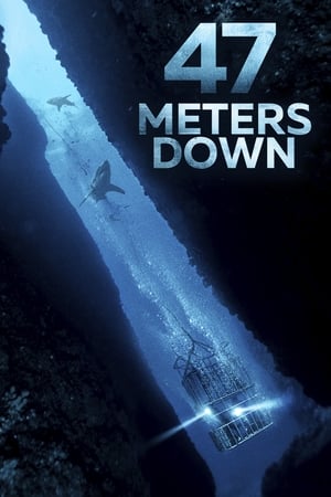 47 Metres Down (2017) Hindi Dual Audio 720p BluRay [850MB]