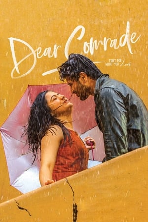 Dear Comrade 2019 (Hindi - Telugu) Dual Audio 480p UnCut HDRip 450MB