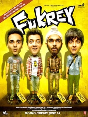 Fukrey (2013) Full Movie Bluray Download - 1GB