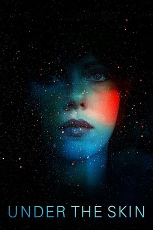 Under the Skin 2013 Hindi Dual Audio 720p BluRay [850MB]